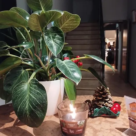 Classicano Hotel Ravenna